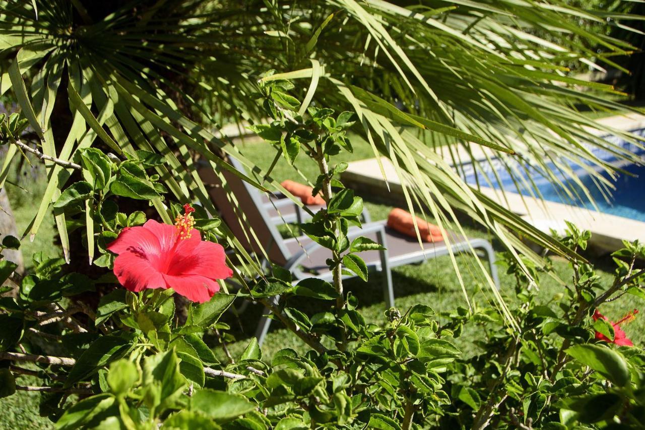 Tintorer Villa Port de Pollença